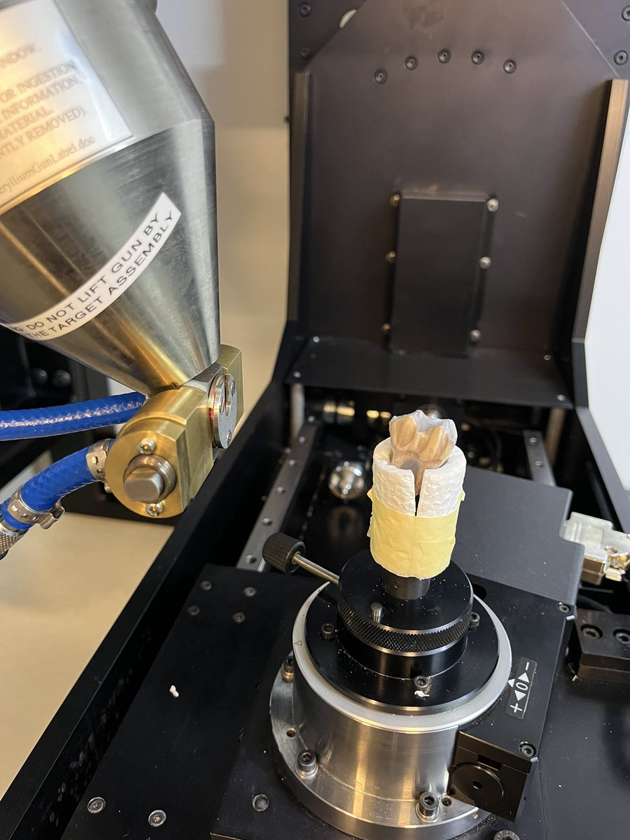 Abdn_Micro's tweet photo. Something unusual in the @NikonInst CT scanner today - Late Pleistocene #reindeer and #bear teeth from Scotland! @WhatKatieDigs @PrehistoricEdge 🐻 🦌 #abdnmicro #corefacility #research #ctscanning #xrays @AbdnLifeScience @UoAGeosciences https://t.co/bMHLYq4std