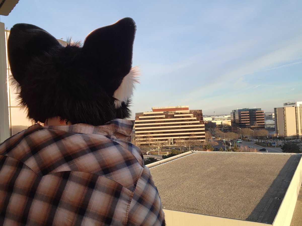 Hunter Husky tweet media