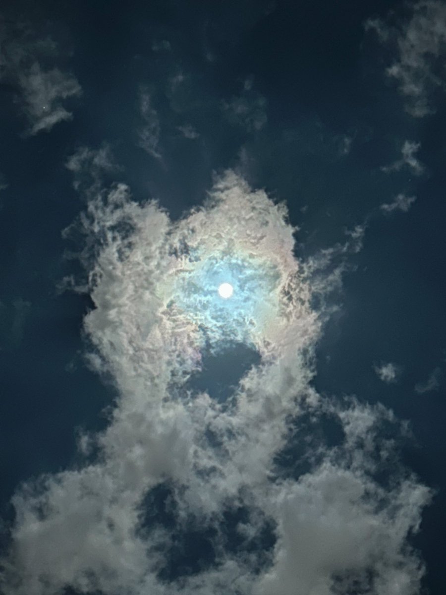 𝗥𝗮𝘄𝗮𝗻 tweet media