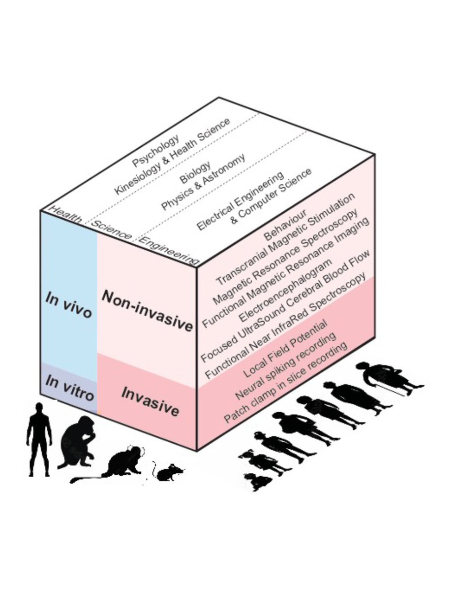 Please RT: Two Postdoc Positions on 'Translating Neuroscience across Species and Techniques', with a new interdisciplinary research team based at York U. Toronto, available immediately: yorku.ca/science/resear…