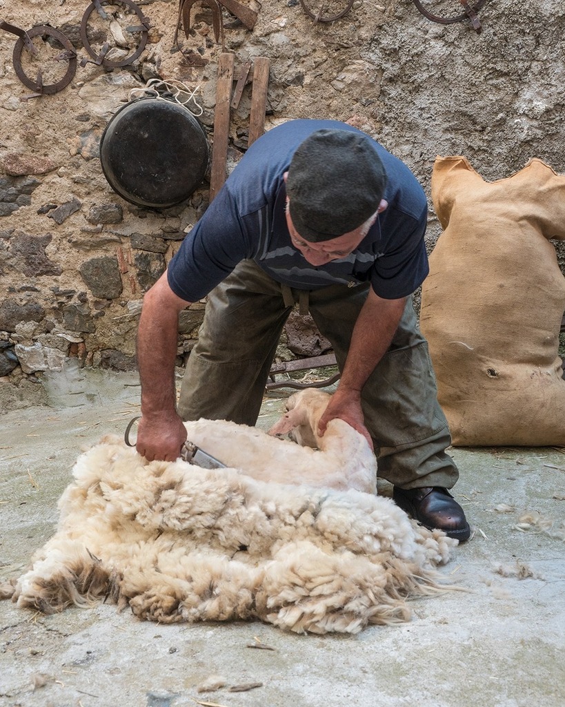 primavera_cuore's tweet photo. #Silanus è un piccolo paese di allevatori e contadini dove i tempi e i ritmi della campagna scandiscono la vita di una comunità dinamica e laboriosa, gode di un clima mite e gradevole per gran parte dell'anno.
La cucina tradizionale è legata alle attivi… https://t.co/KpzR8Spcgp https://t.co/F1u097gcuy