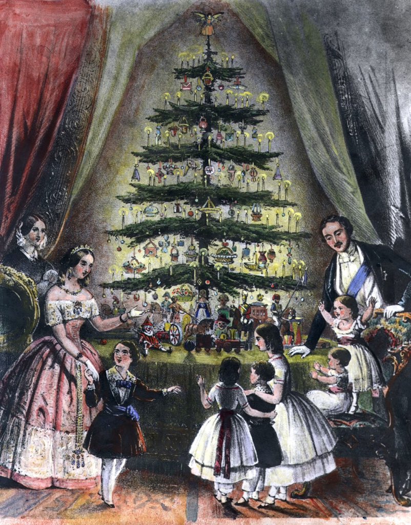Tis the season - but did you know that Christmas was originally a pagan holiday during mid winter, where people brought in evergreen trees to help them brave the harsh cold (also remind themselves that spring would return one day)?