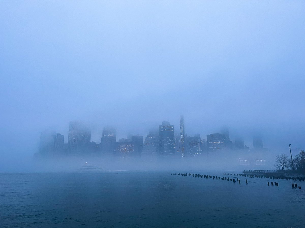 Michael Dillon tweet media