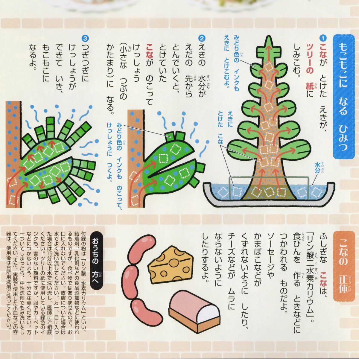 【小学一年生2023年1月号】
クリスマスツリーを作ろう!
図解やイラストを担当しました。
理科の教科書の図解とか眺めているのが好きだったので、担当できて嬉しかったです🎅
ウィンナーが美味しそうに描けました。最近、食べ物はオモチャっぽいプリッとした感じを目指して描いています

発行:小学館 