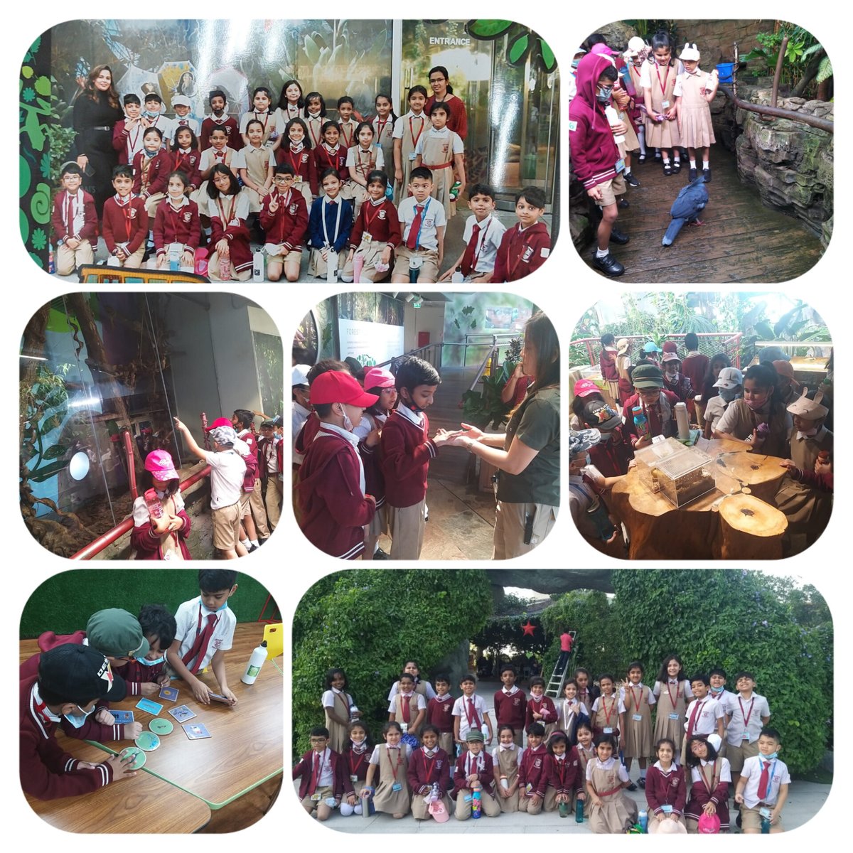 Sreeja S J (@sreeja_sreerej) on Twitter photo "What we are doing to the forest of the world is but a mirror reflection of what we are doing to ourselves."Grade 2B had an amazing experience by exploring the tropical rain forest @'The Green Planet' Dubai.<a href="/Susanna_Porob/">Susanna Porob</a>
<a href="/gemsnms_alkhail/">GEMS NMS Alkhail</a> <a href="/NMSLowerPrimary/">Gen_Alpha@NMS</a> "What we are doing to the forest of the world is but a mirror reflection of what we are doing to ourselves."Grade 2B had an amazing experience by exploring the tropical rain forest @'The Green Planet' Dubai.<a href="/Susanna_Porob/">Susanna Porob</a>
<a href="/gemsnms_alkhail/">GEMS NMS Alkhail</a> <a href="/NMSLowerPrimary/">Gen_Alpha@NMS</a>