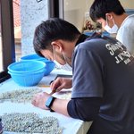 ツイートに含まれる画像