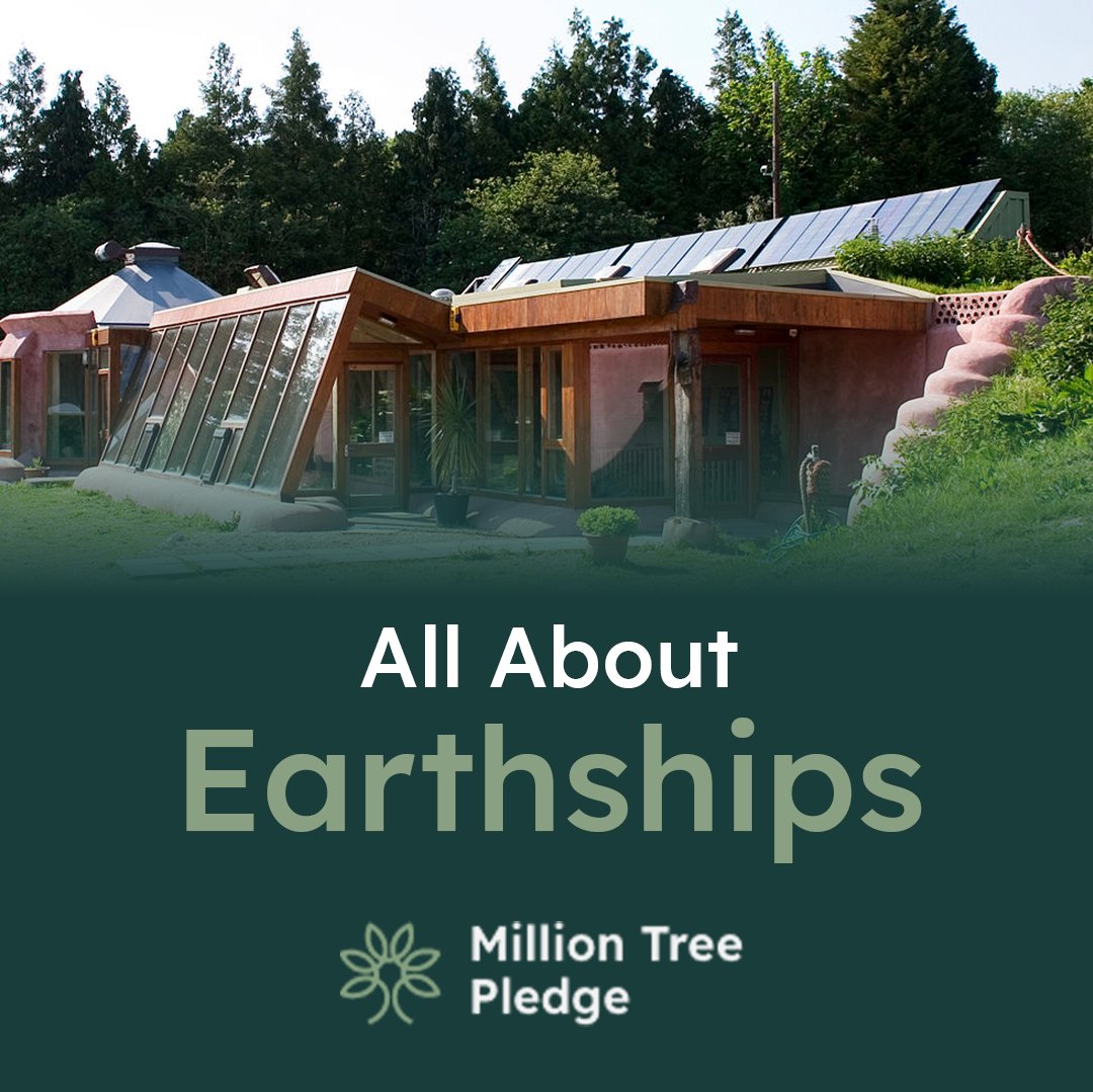 Million Tree Pledge tweet media