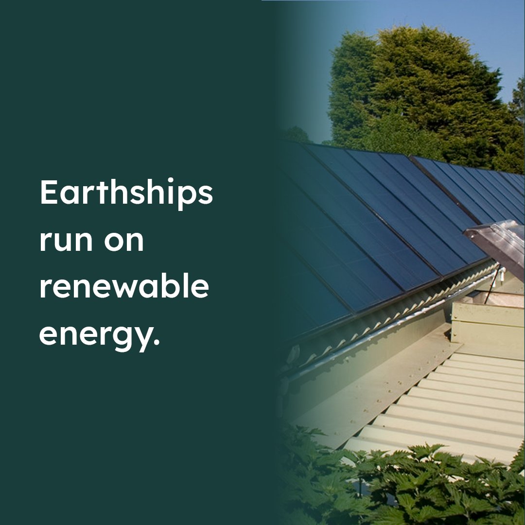 Million Tree Pledge tweet media