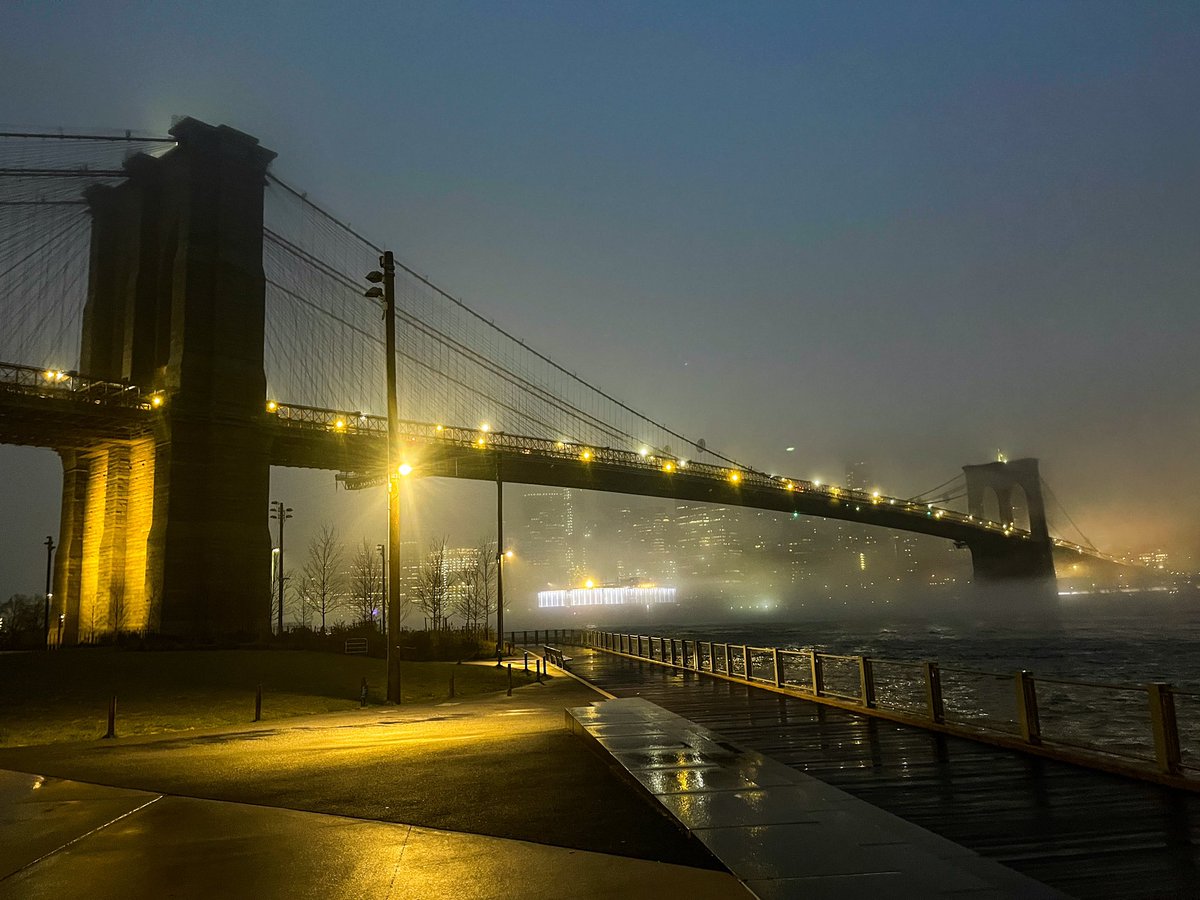 Michael Dillon tweet media