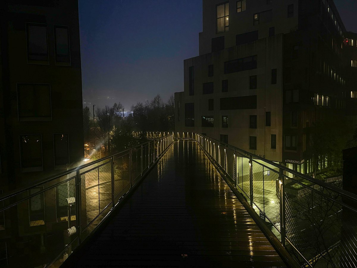 Michael Dillon tweet media