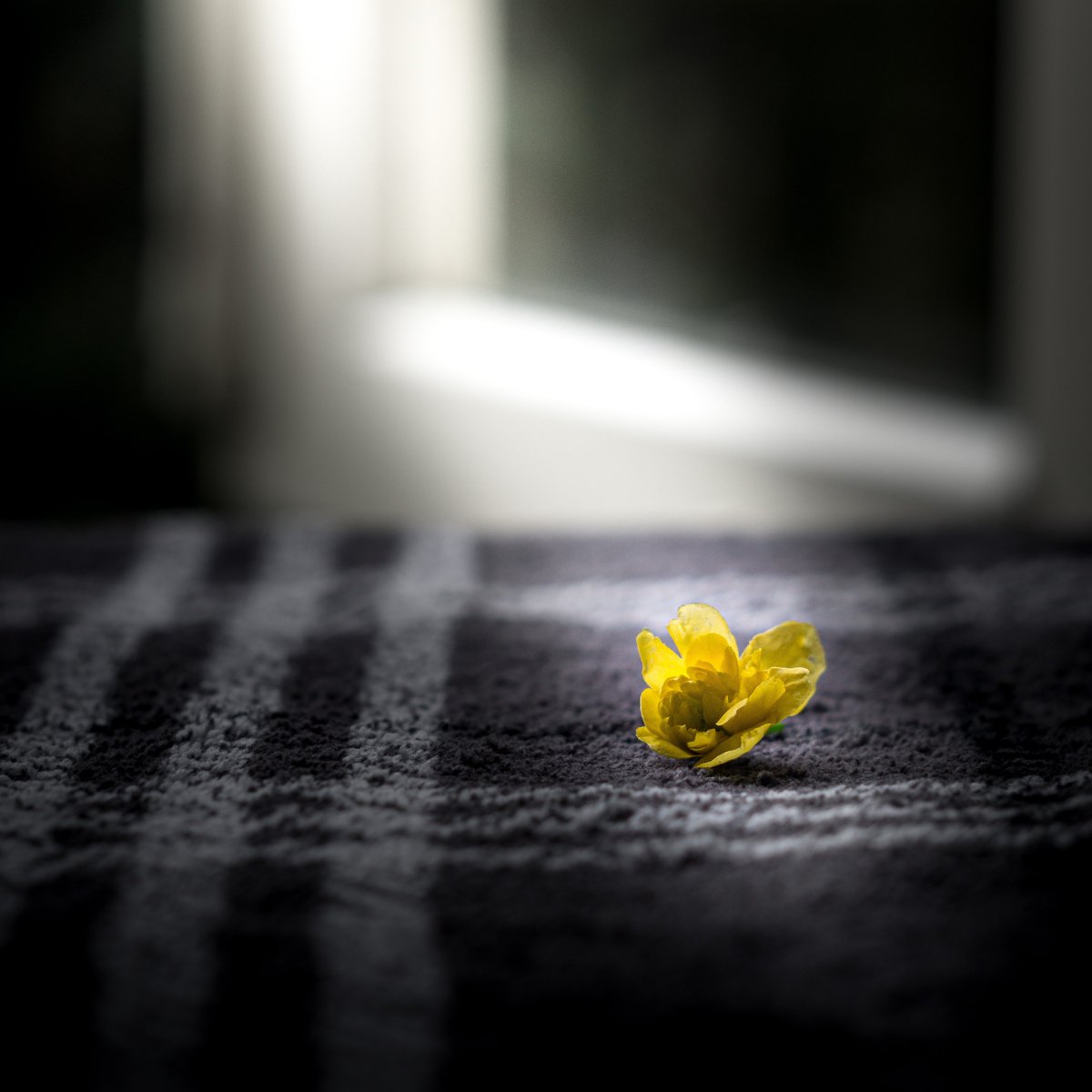 'This child of evil, cradled in a grave, / Suckled by darkness, [...] did not grow evil, / Rooted in evil – but put out bright flowers / Of innocence.'
Looking forward to studying Peter Oswald's play Kaspar Hauser this week in our seminar on modern drama.