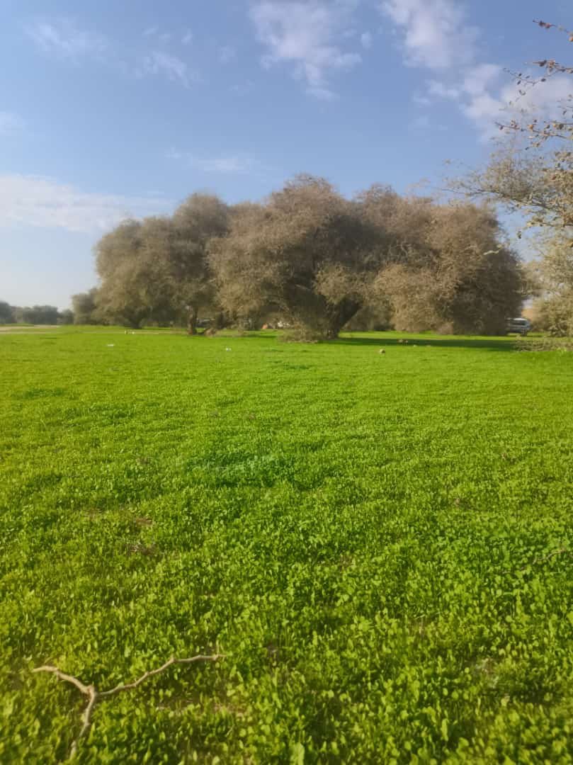 عجلان الزاهد |📸⛈☘️⛰ tweet media