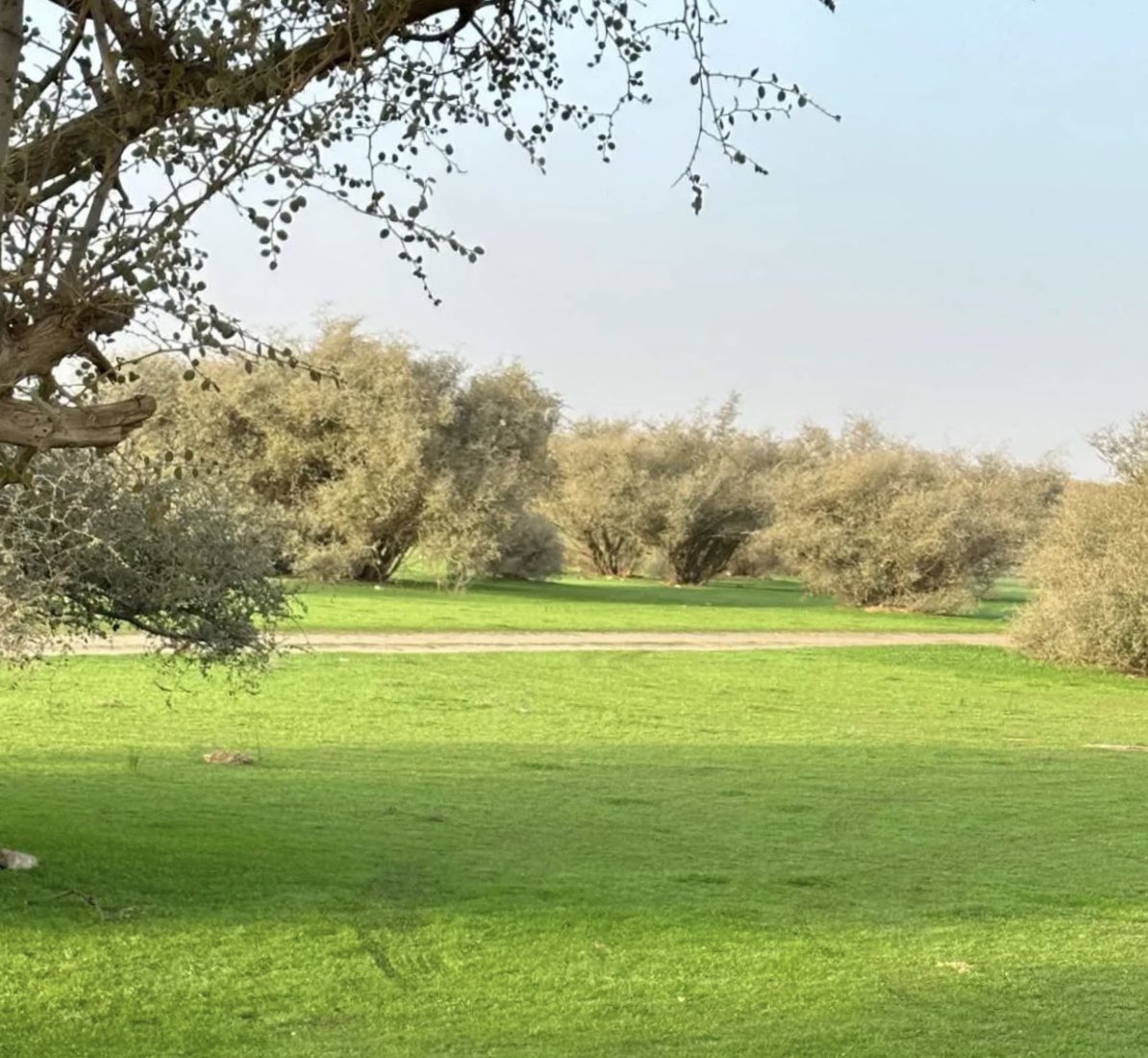 عجلان الزاهد |📸⛈☘️⛰ tweet media