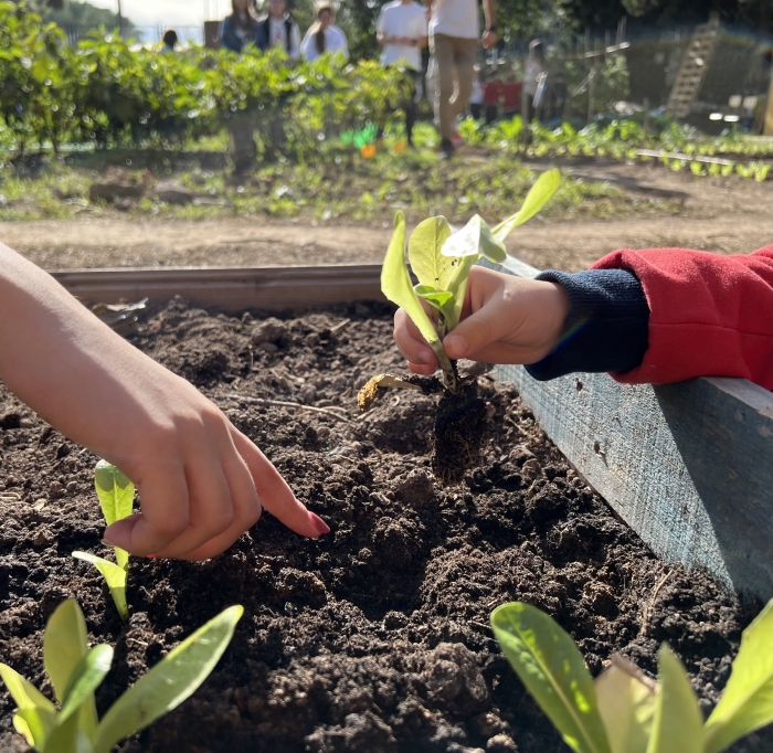 caermurcia's tweet photo. 📸 Joaquín Soto, autor finalista del VI concurso de #AgriculturaEcológica de la Región de Murcia  #FotogénicosporNaturaleza

Dale "Me gusta" ❤ si quieres que gane los 500 € y comparte esta imagen para que más personas la voten.

👉 Votaciones hasta el 15 de diciembre a las 12h. https://t.co/8rxDiATIxC