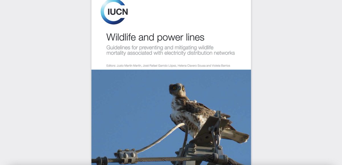 🦅 How does wildlife interact w/ #powerlines & how can mortalities be prevented? New manual by @IUCN can guide 🌍 practice on identifying & reducing risk - a vital step to harmony betw/ #EnergyandNature 💪 
We are proud to have contributed!

Read it here 👉portals.iucn.org/library/node/5…