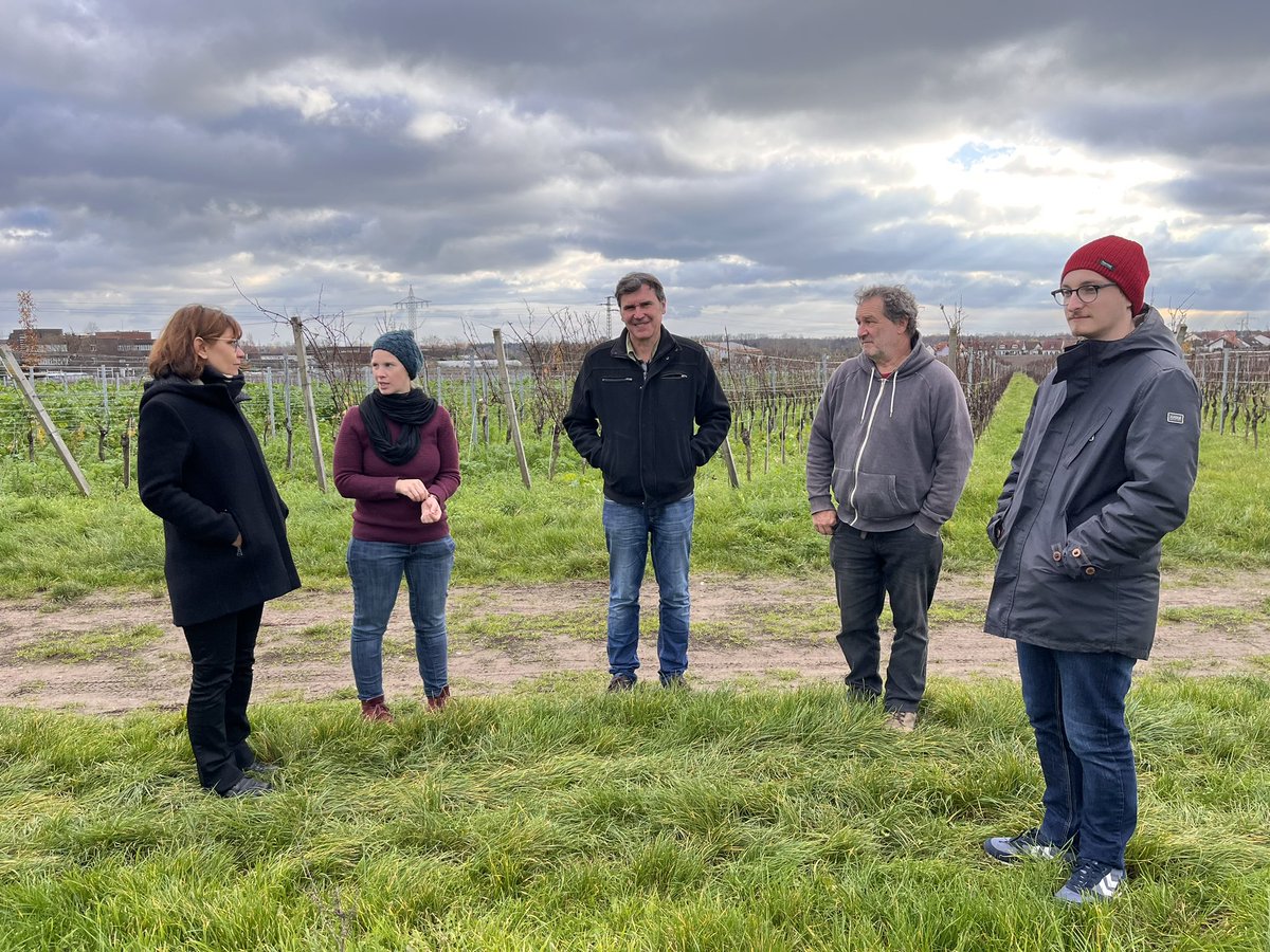 This morning <a href="/oscar_vigne/">OSCAR</a> was presented by Anne-Sophie Miclot <a href="/inrae_save/">INRAE_SAVE</a> at Neustadt WeinInstitut i(Palatinate, de) to the group of Joshen Bogs <a href="/vitifit_de/">VITIFIT</a>