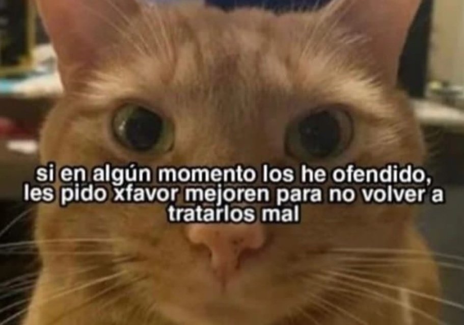 _onerolita's tweet photo. https://t.co/zSTUZTW9S2