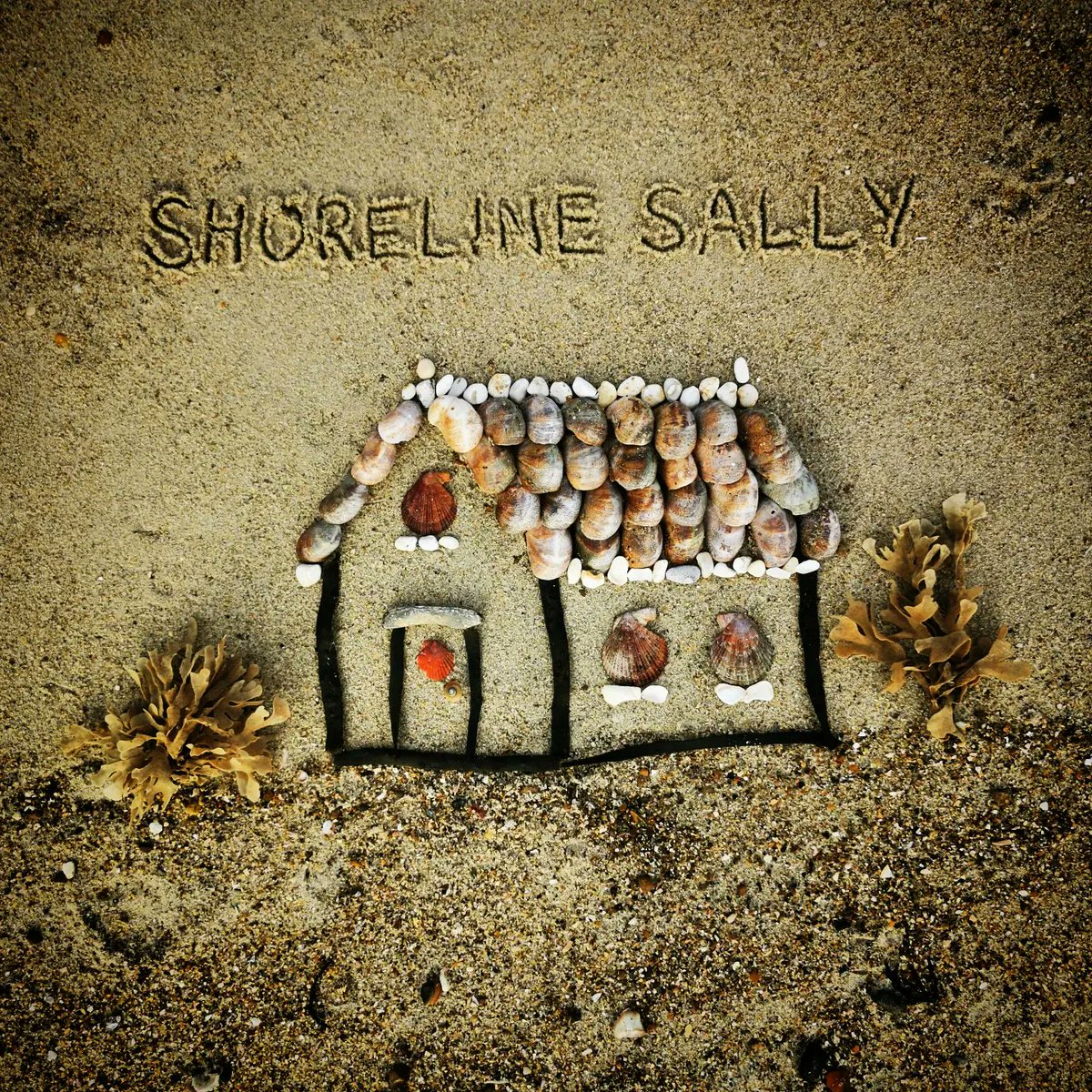 DigiDaughter's tweet photo. OPEN DOOR No. 7
SHORELINE ADVENT CALENDAR
Dec 7th - Gingerbread House 🏡 #AdventCalendar #Dec07 #house #gingerbread #slippershells #seaweed #feather #scallops #shell #christmas #beachart #sandart #handwriting #pebbleart #shellart #SandBanksy #ShorelineSally
#the12daysofbeachmas https://t.co/6RZiywyqBX
