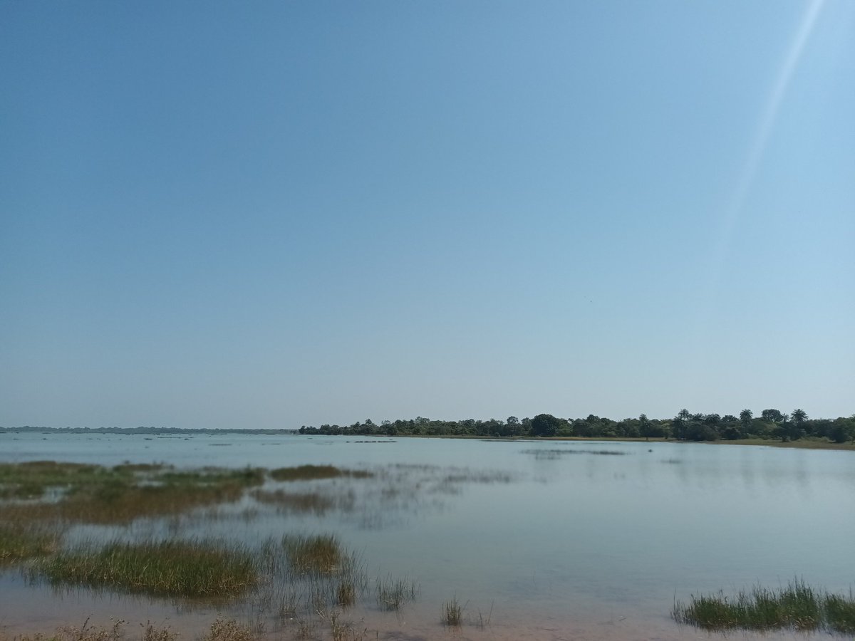nick_pld's tweet photo. And it's a wrap for me! Goodbye Casamance, hope to be back soon! And good luck to the community conservation leaders we've met in the past two weeks - looking forward to working together more in 2023. https://t.co/xfFUj3XG65