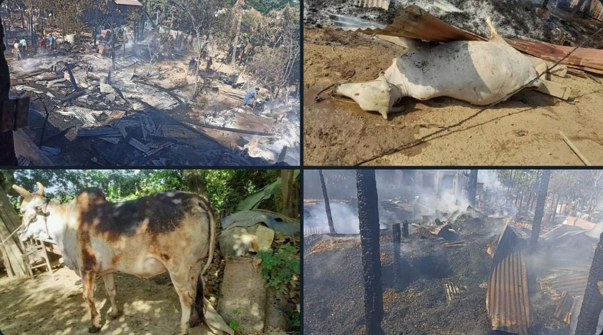Yesterday, Myanmar SAC Terrorists from KyaukYit camp raided Shwebonthar village in Sagaing Region's Myaung township, and burnt down 9 civilians' houses and killed livestock in the village. #StopExecutingOurStudents #WarCrimesOfJunta #2022Dec7Coup #WhatsHappeningInMyanmar