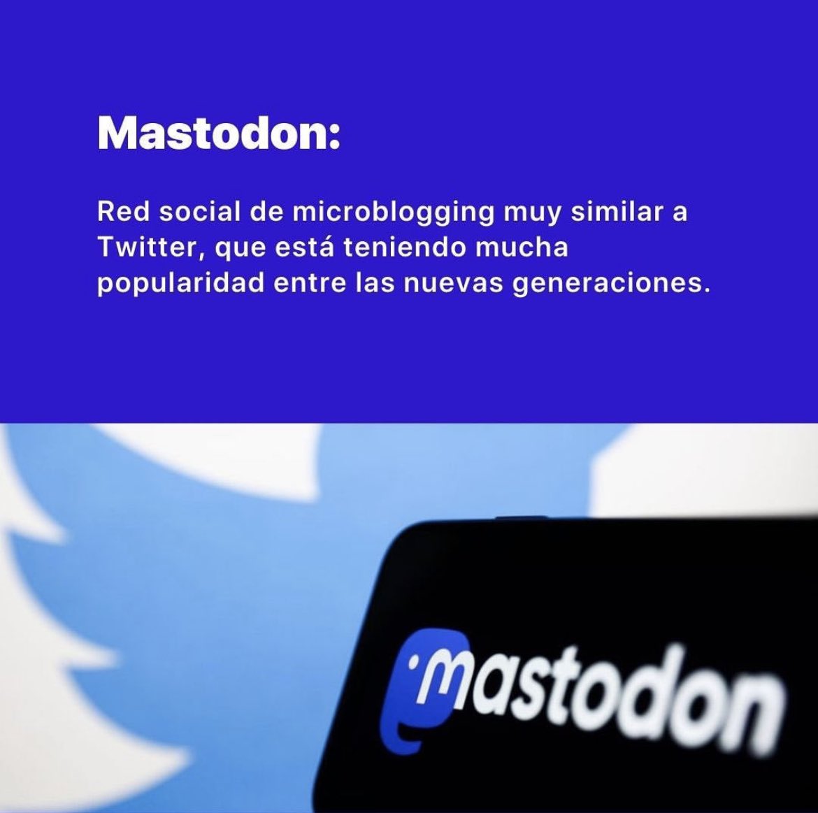 Funhel1's tweet photo. La nueva red social que está compitiendo con Twitter, a ver si @elonmusk se anima a invertir también #Mastodon #MastodonSocial https://t.co/mt86udvXZc