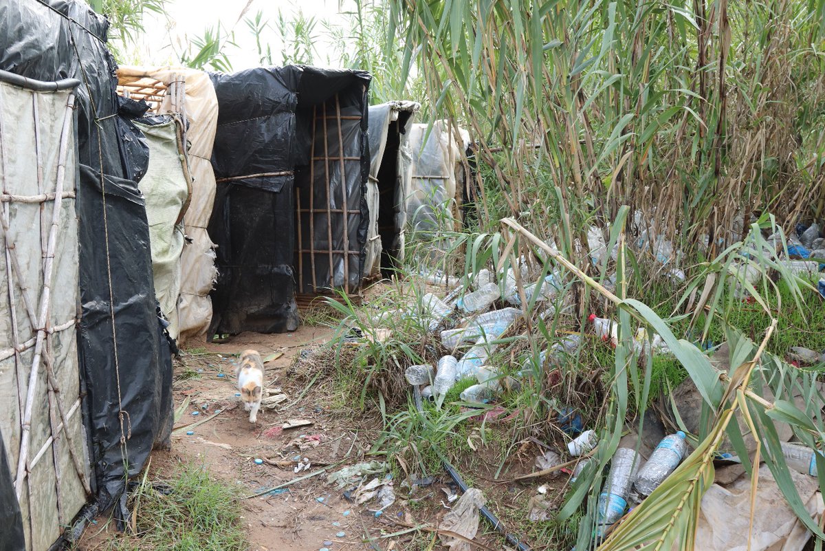 Generation 2.0 RED tweet media