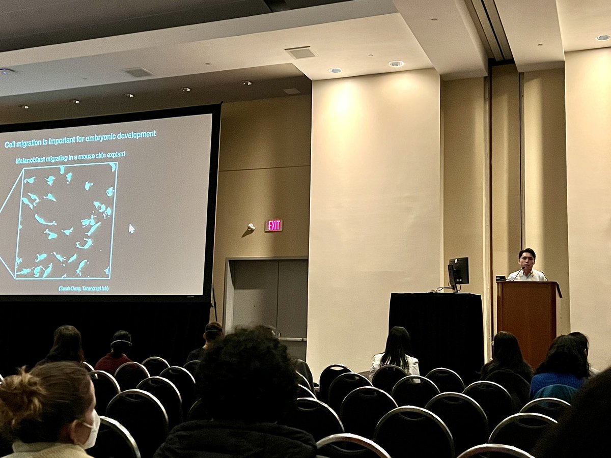 Sergey Plotnikov tweet media