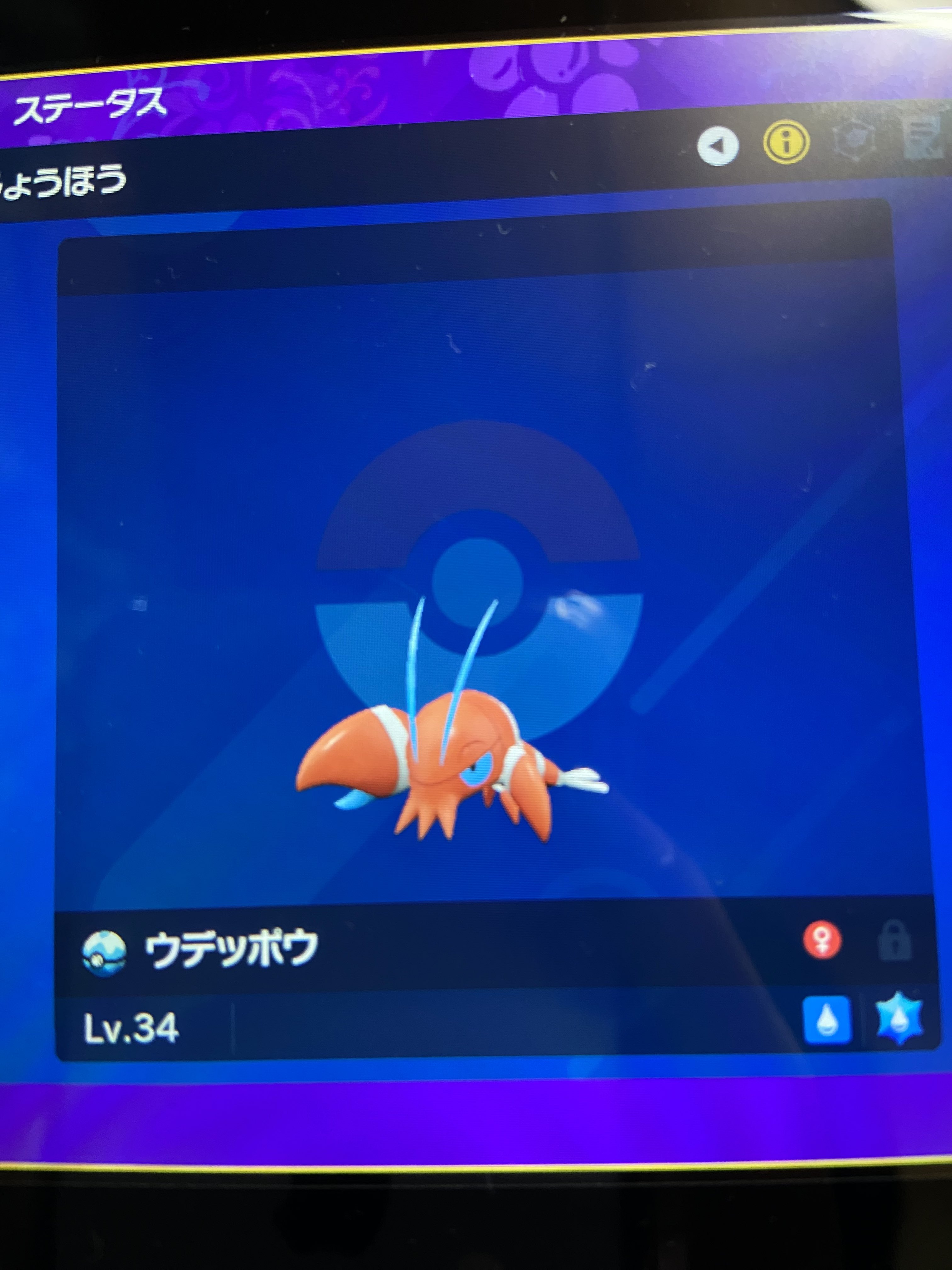 ウデッポウ Twitter Search Twitter
