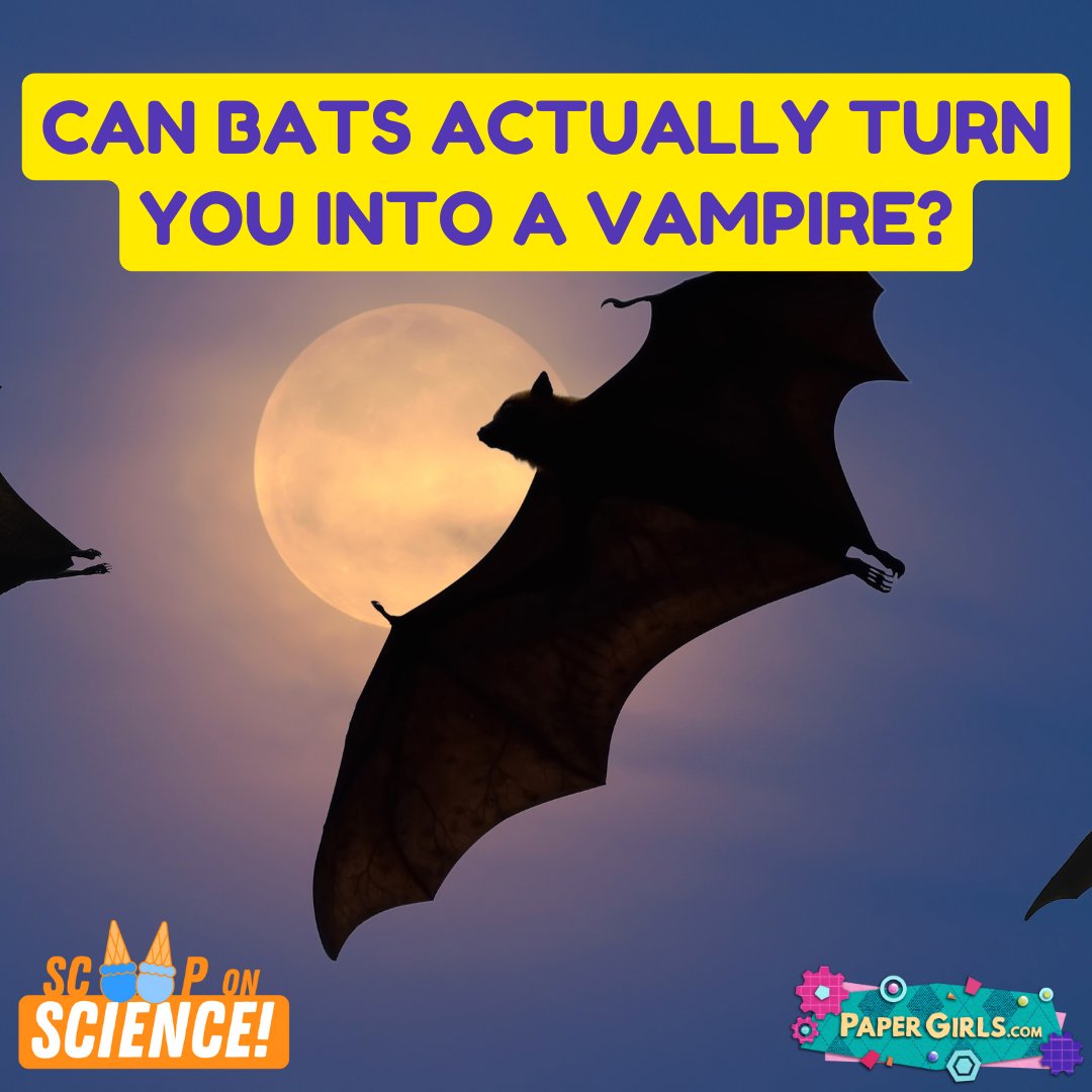 PaperGirlsTV's tweet photo. Bats might not turn you into a vampire, but vampire bats do exist! Get the #ScoopOnScience to learn all about #bats!
🦇Check out this episode and more here: https://t.co/qEyjVHXaCU
#papergirls #papergirlstv #papergirlsshow #PGTV #science #scikids #kidsscience #STEM #STEAM https://t.co/XrndNOTFpL