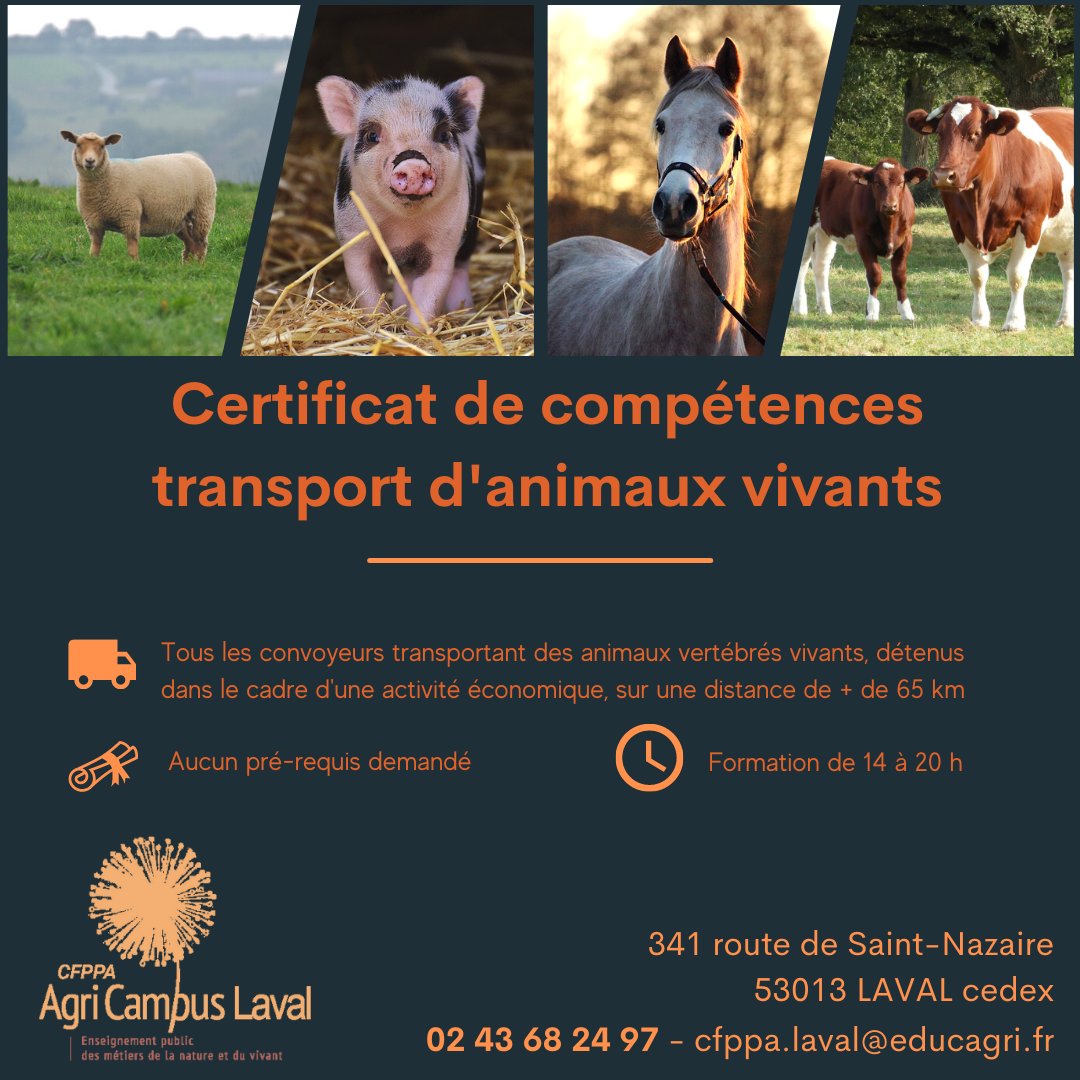 <a href="/CfppaLaval/">CFPPA AgriCampus Laval</a> #formation certificat de compétences #transport #animaux vivants-4 C les 10 et 11 janvier 2023 catégorie #bovins