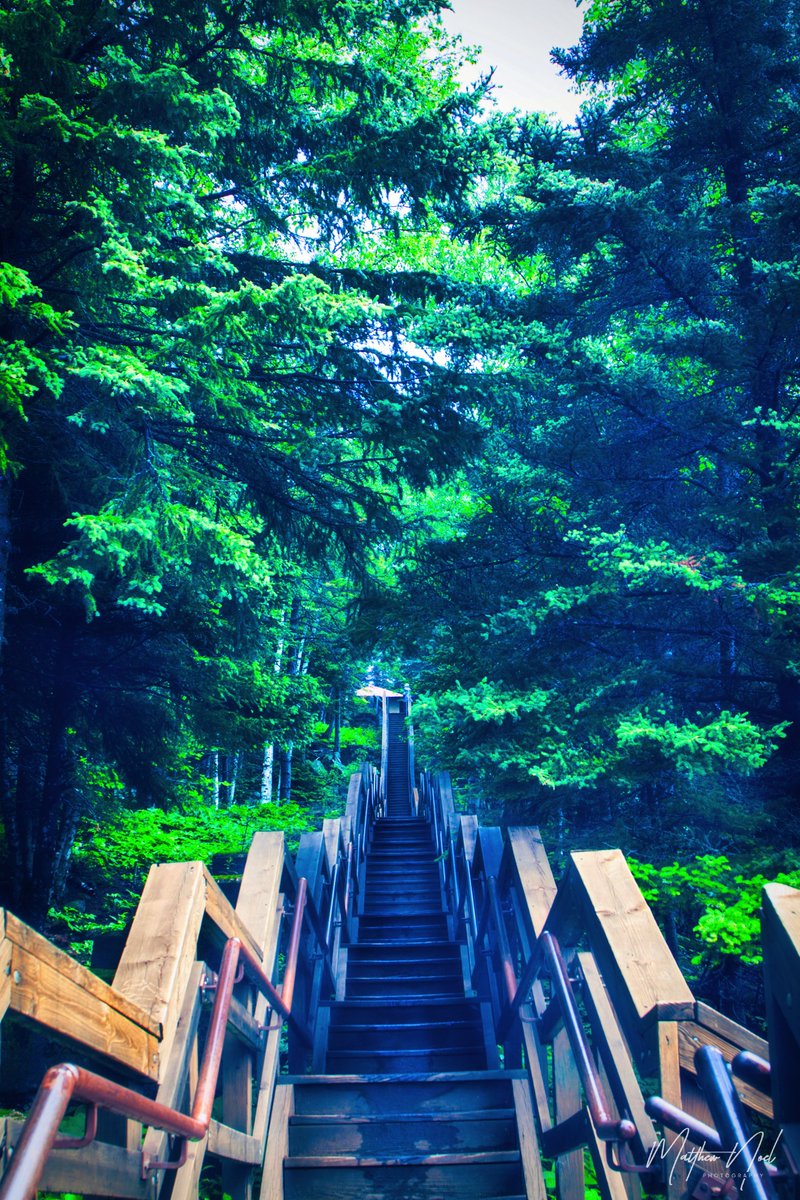 breatheinphoto's tweet photo. Day 28 of the Warmer Days photo series.
#CaptureMinnesota #Canonphotographer #Canonphotography #Minnesota #MNphotographers #Photoglife #ExploreMN #Chasingwaterfalls #Minnesotalife #NorthCountryMinnesota #CaptureMN #NaturePhotography #MinnesotaPhotographer #Viewbug https://t.co/9R547VEKGS