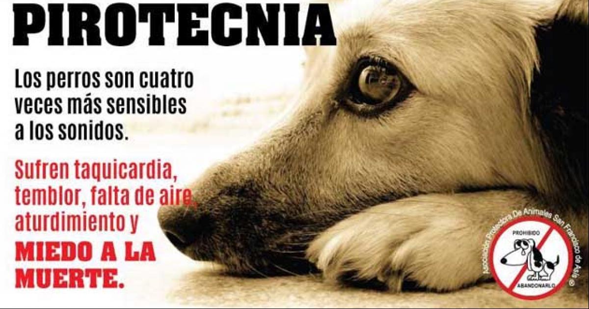 Cuando tocó Coldplay en River hicieron más estruendo que la artillería ucraniana del Jerzón durante DIEZ NOCHES CONSECUTIVAS y estos rompe pelotas no dijeron ni mú.

Les chupa un huevo los petardos y los perros, sólo quieren que no seas feliz en Navidad