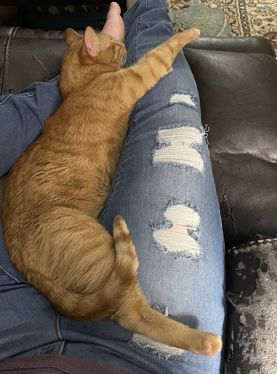 So cozy… 😍