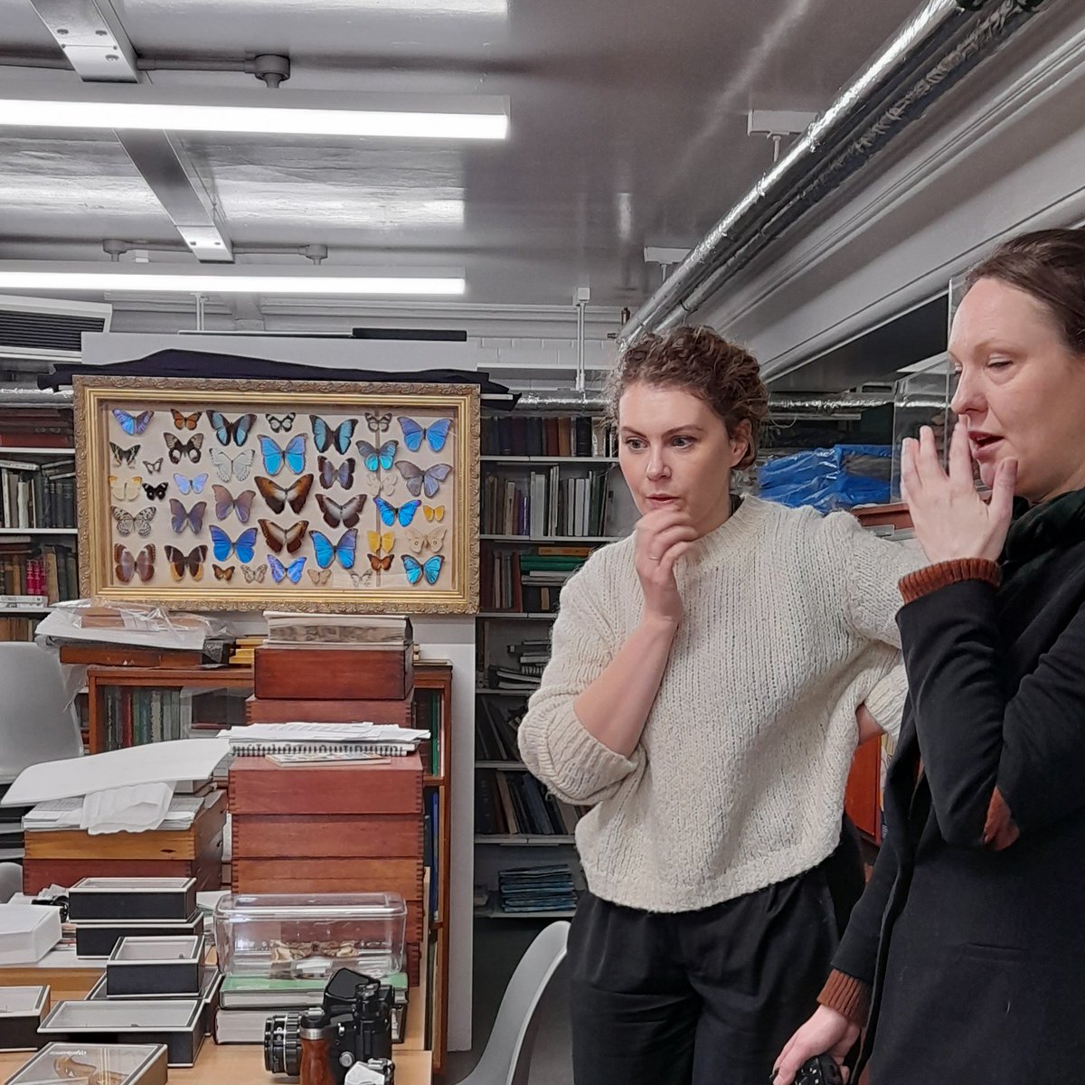 MuseumInsight's tweet image. Great visit and good conversations with the artist @MeganPowell122 and the colleague Alison Criddle @MuseumDevNW about #pollinators, moths and hoverflies, in Entomology @McrMuseum. @carbon_literacy @rootsandbranches