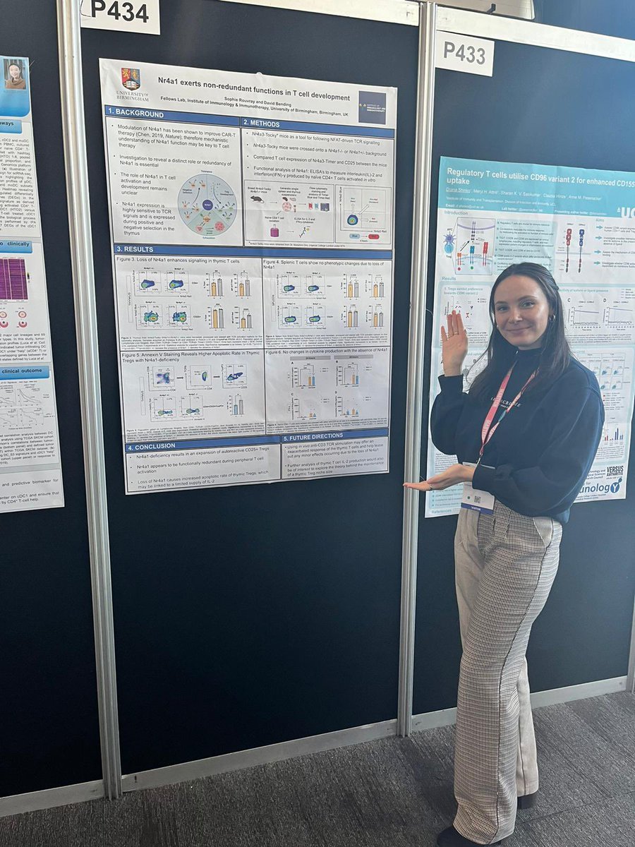 Sophie Rouvray tweet media