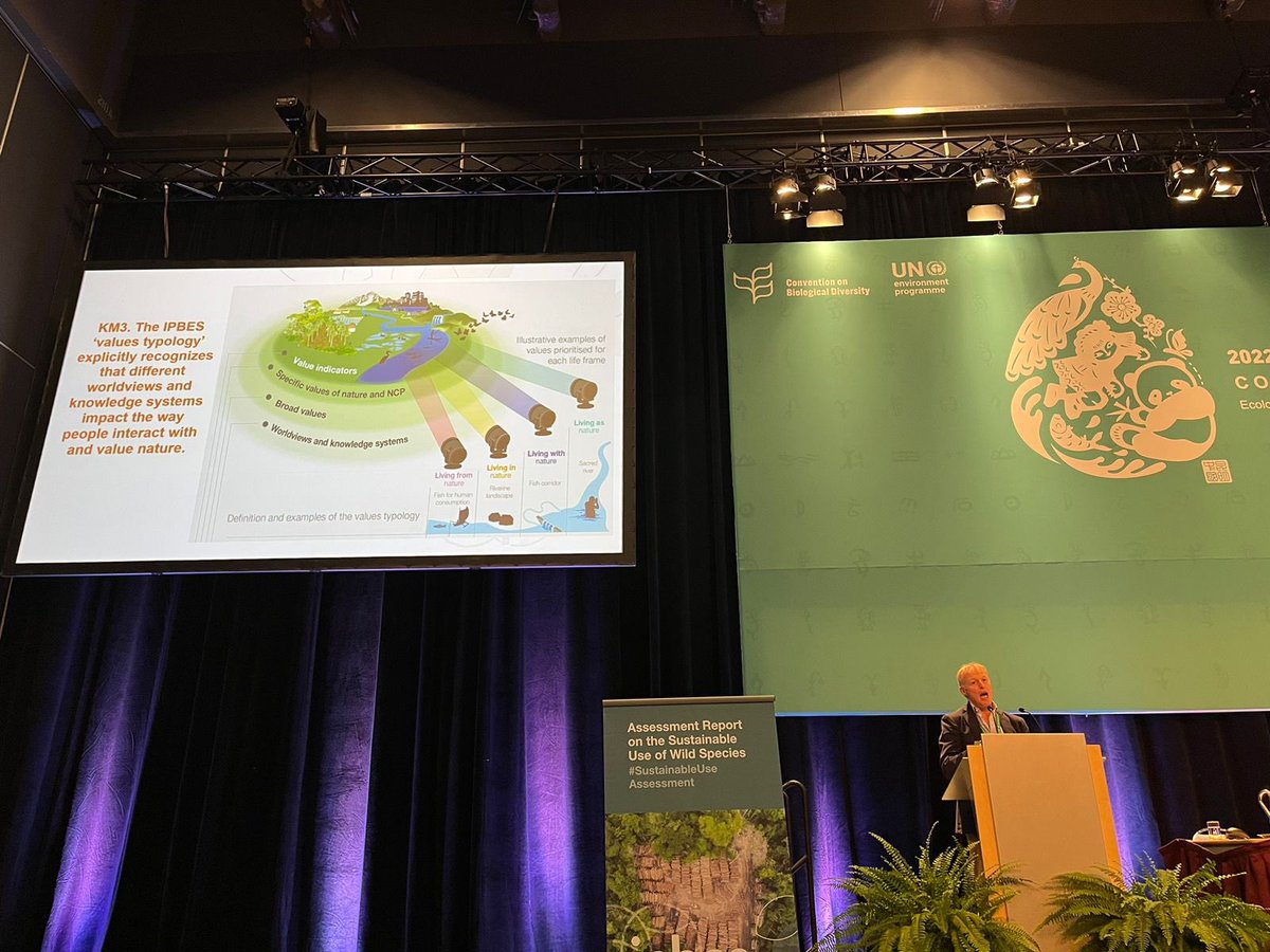 Presenting the <a href="/IPBES/">ipbes</a> #ValuesAssessment typology of #nature’s diverse #values at the #COP15montreal  meeting yesterday. It will be important for the #CBDCOP15 refer to these multiple values in the #globalbiodiversityframework. <a href="/Aberbschool/">Aber Business School</a> <a href="/AberUni/">Aberystwyth University</a>