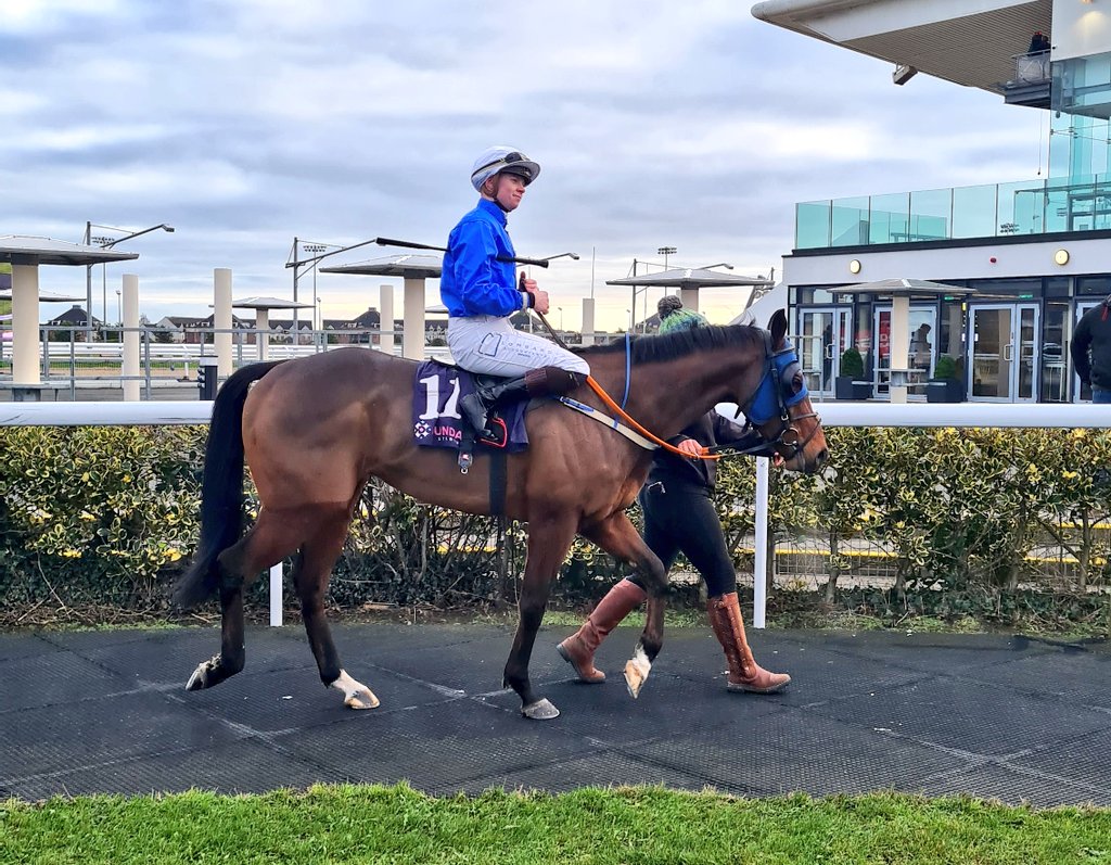 Dundalk Stadium tweet media