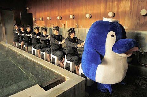 mondomascots's tweet image. Kotochan the dolphin, mascot of the Kotoden-Kotohira train line, goes to the bathhouse with his train conductor friends.