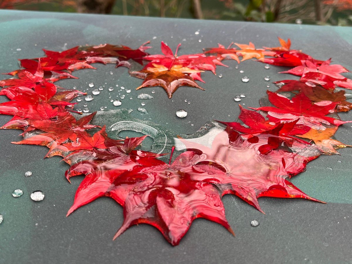 3年ぶりの旅行!
母と京都に行きました⛩
嵐山の裕斎亭、とっても綺麗だった。 