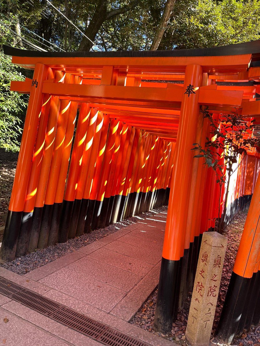 3年ぶりの旅行!
母と京都に行きました⛩
嵐山の裕斎亭、とっても綺麗だった。 