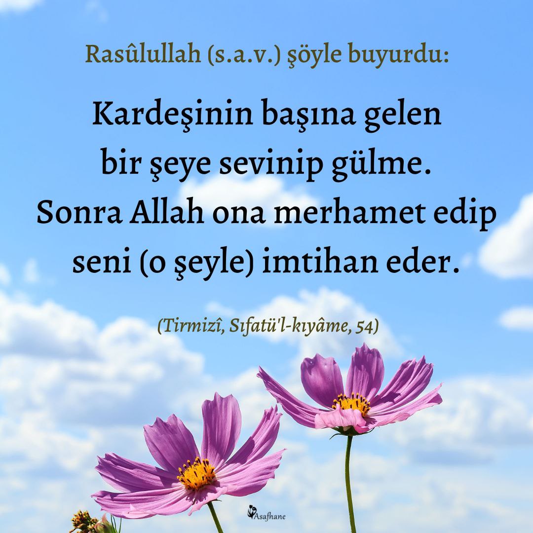 Mustafa CEMİL (@mustafacem70) on Twitter photo 