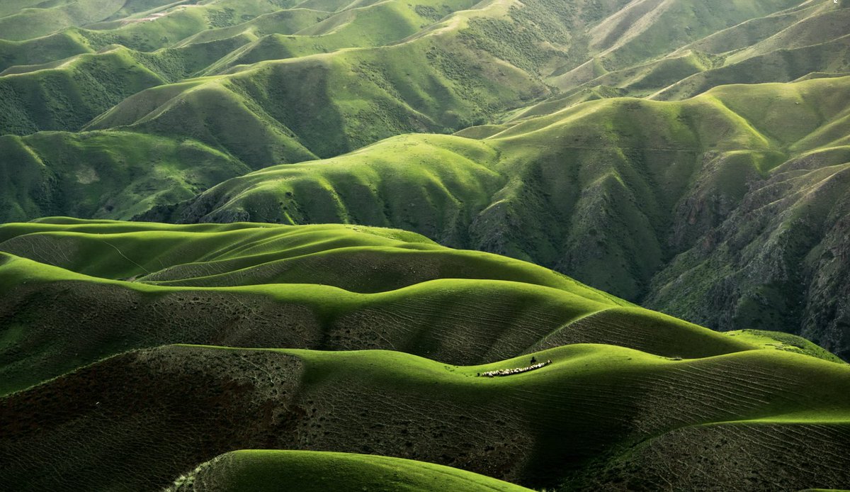 Creating a PLANET-CENTRIC future means putting communities and the environment first to generate growth and change for everyone.

#planetcentricdesign #design #productdesign