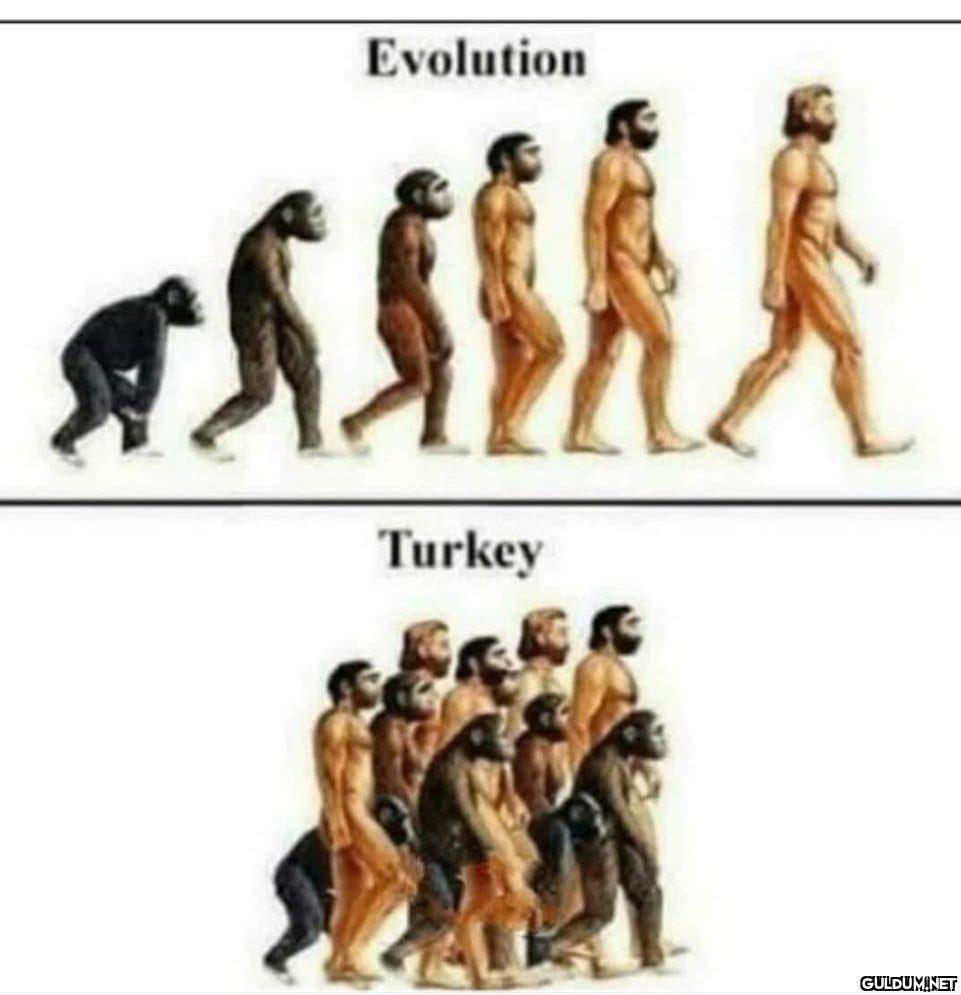 Batuhan Baysal (@ba2hanbaysall) on Twitter photo 