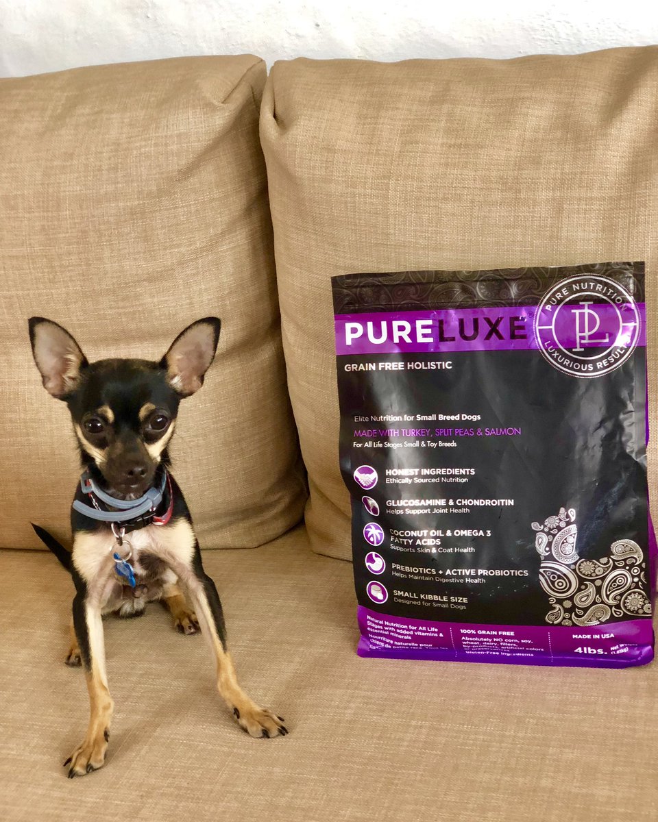 PureLUXEPetFood's tweet photo. Give our Small Breed Adult Dog formula a try. It has special smaller kibble with the same great nutrition as our other formulas. 

#pureluxe #smallbreeddogs https://t.co/Rxcijhpb2L