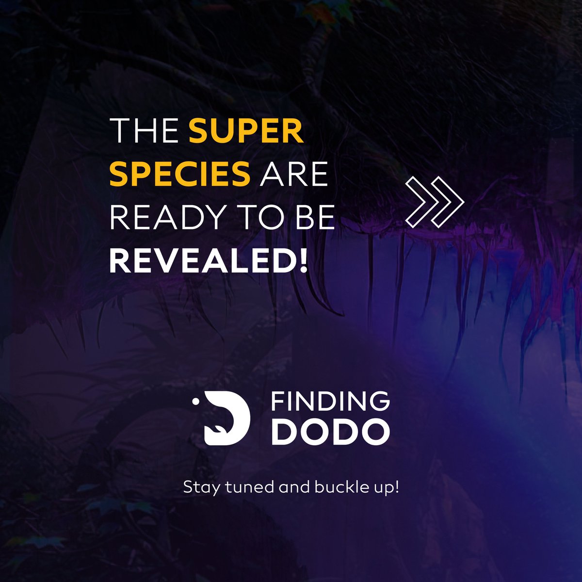 Finding Dodo tweet media