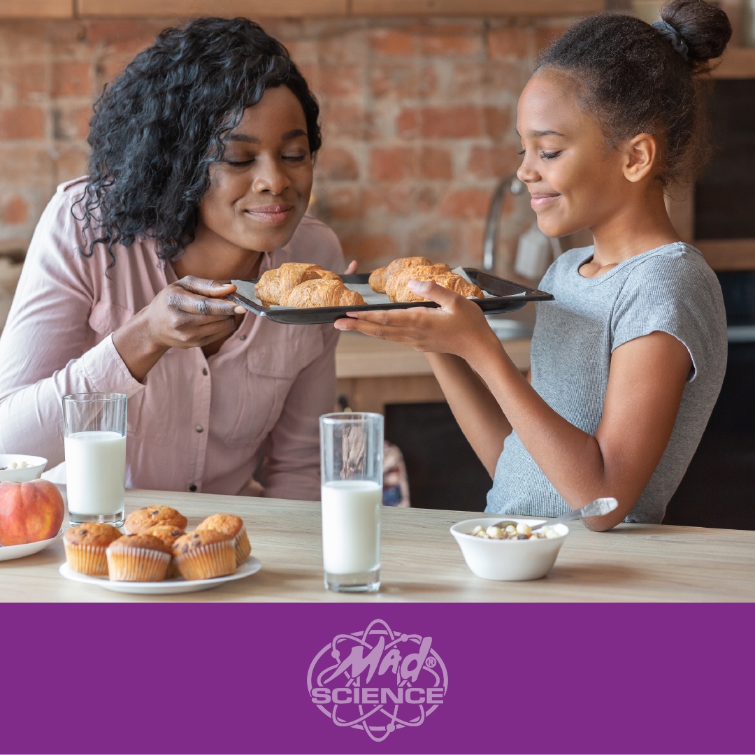 Did you know the connection between smell &amp; taste? 80% of what you taste comes from what you smell! We can only taste 5 sensations: sweet, salty, sour, bitter, &amp; savoury. It is also why food has less taste when you have a stuffy nose!
#didyouknow #stemeducation #sciencefacts