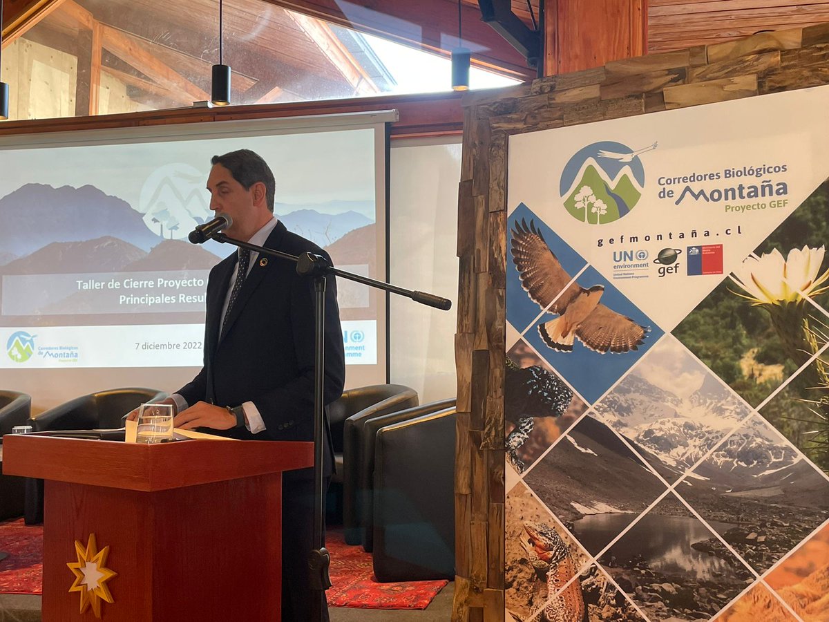 Hoy, después de 6 años de trabajo articulado en 36 municipalidades de la Región Metropolitana de Santiago, #Chile, el equipo <a href="/GefMontana/">GEF Montaña</a>, junto al <a href="/MMAChile/">Ministerio del Medio Ambiente</a> y ciudadanía, entregan resultados en sensibilización, restauración y agrosustentabilidad
Más info: bit.ly/3iKIdPf