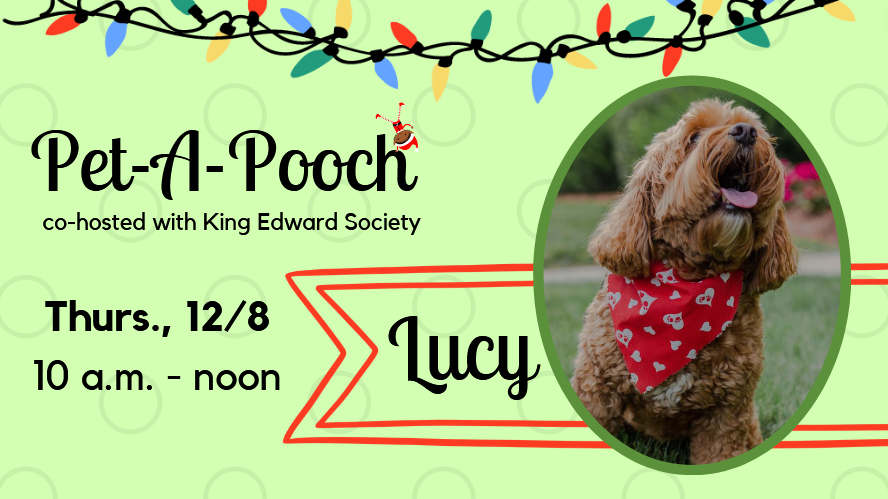 GeiselLib's tweet photo. Tomorrow is the best day to study in the library! TWO very pet-able pooches will be visiting, & then SGA is serving up free cookies & hot cocoa at 4 p.m., & THEN Geisel staff will be providing even more free cocoa, coffee, and sweet treats at 9 p.m. #FrazzleFreeFinals #PetAPooch https://t.co/rQC5EylWsK
