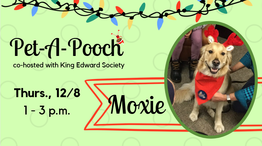 GeiselLib's tweet photo. Tomorrow is the best day to study in the library! TWO very pet-able pooches will be visiting, & then SGA is serving up free cookies & hot cocoa at 4 p.m., & THEN Geisel staff will be providing even more free cocoa, coffee, and sweet treats at 9 p.m. #FrazzleFreeFinals #PetAPooch https://t.co/rQC5EylWsK