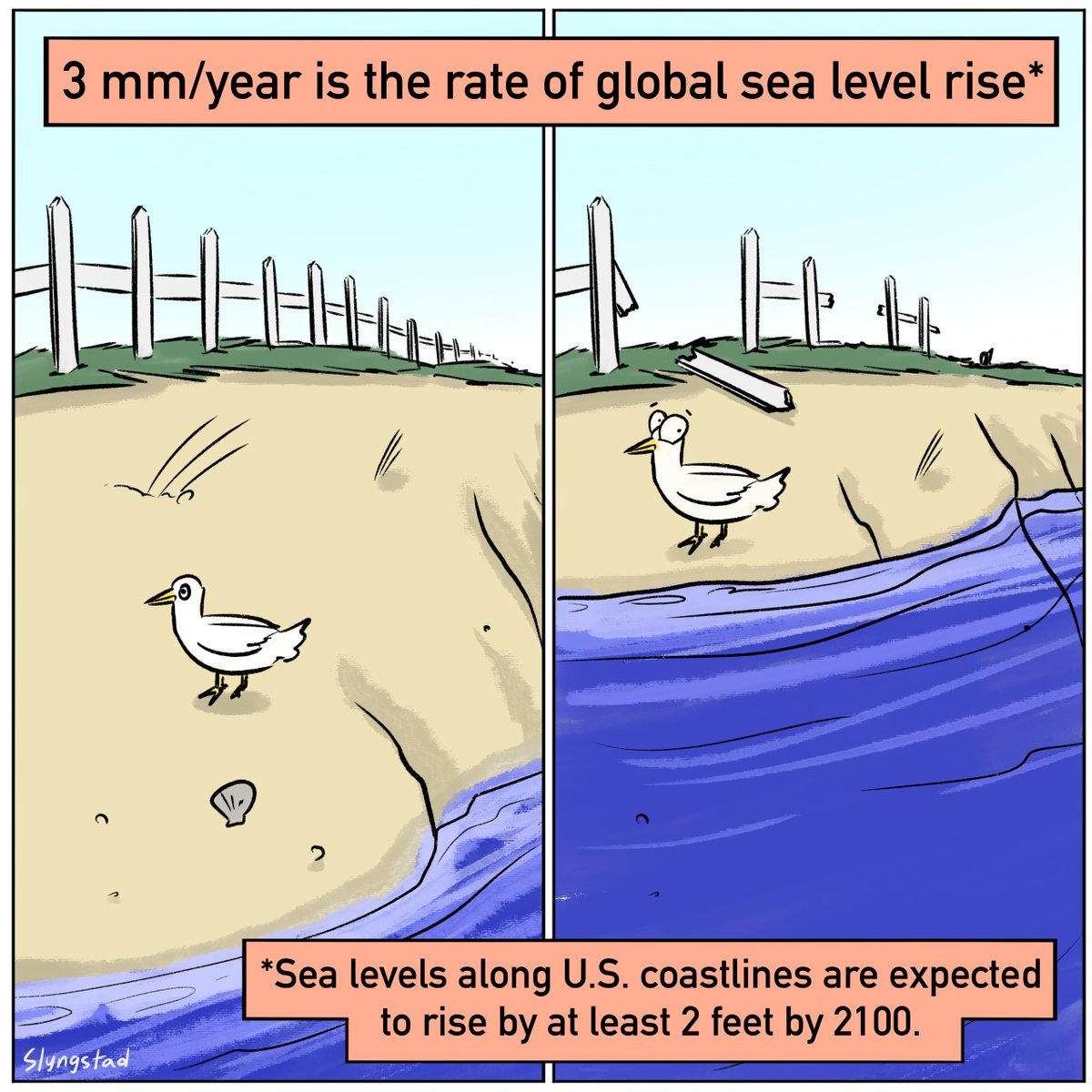 usgs_climate's tweet photo. It's day 3 of #12DaysOfClimateScience!
#DYK that global #SeaLevels are rising at a rate of 3 mm/year? In fact, sea levels are rising even faster around parts of the U.S. and could rise 2 feet by 2100: https://t.co/n0I9ffRPzv
πΈ Illustration by @VSFSatState intern Ben Slyngstad. https://t.co/DWTUw7jqRR